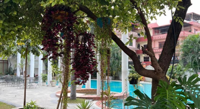 Hotel Club Denovo Butwāl Exteriér fotografie
